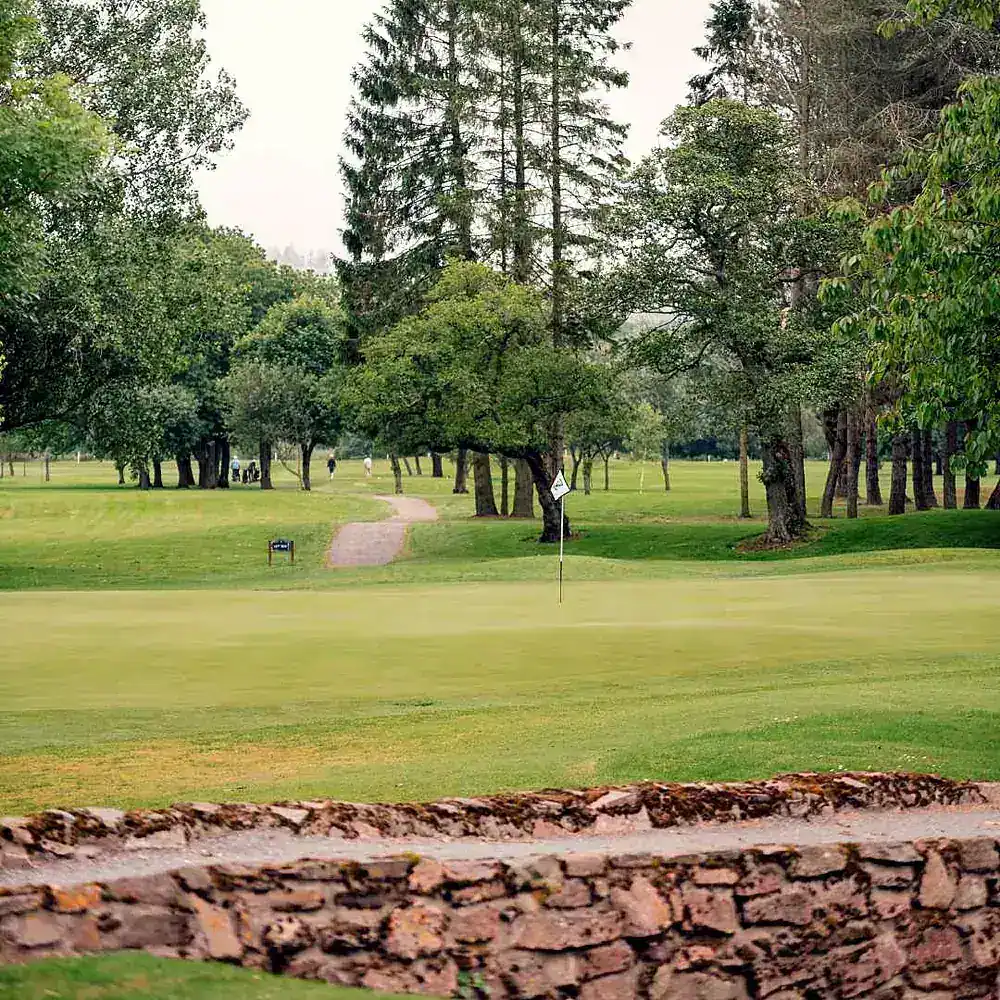 Hole 15