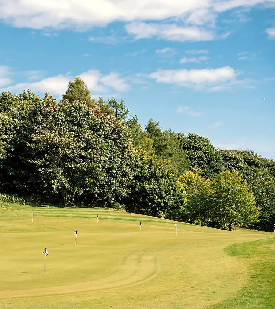 Short-game practice area with multiple putting flags at Deeside Golf Club